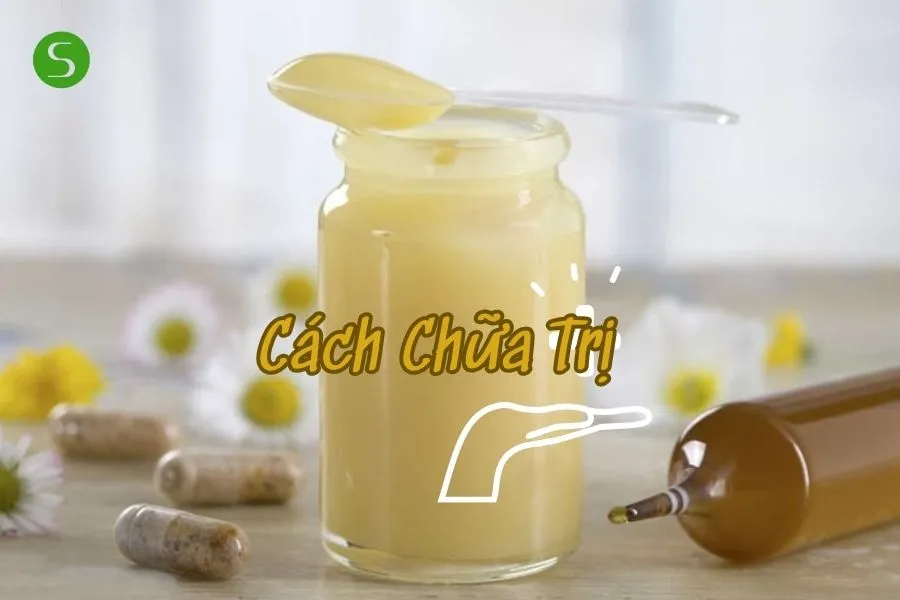 Cách chữa dị ứng sữa ong chúa cho bạn 