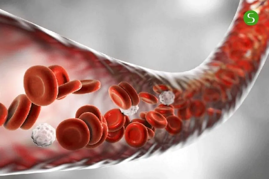 Các lợi ích chính của ghế massage với người đau khớp