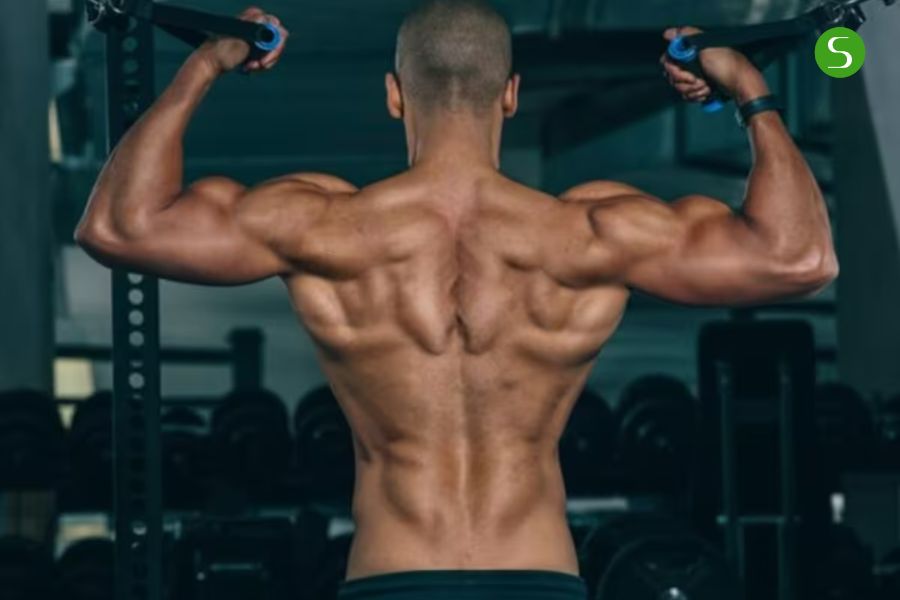 Tăng cường cơ lưng, cơ bụng giúp nâng đỡ cột sống